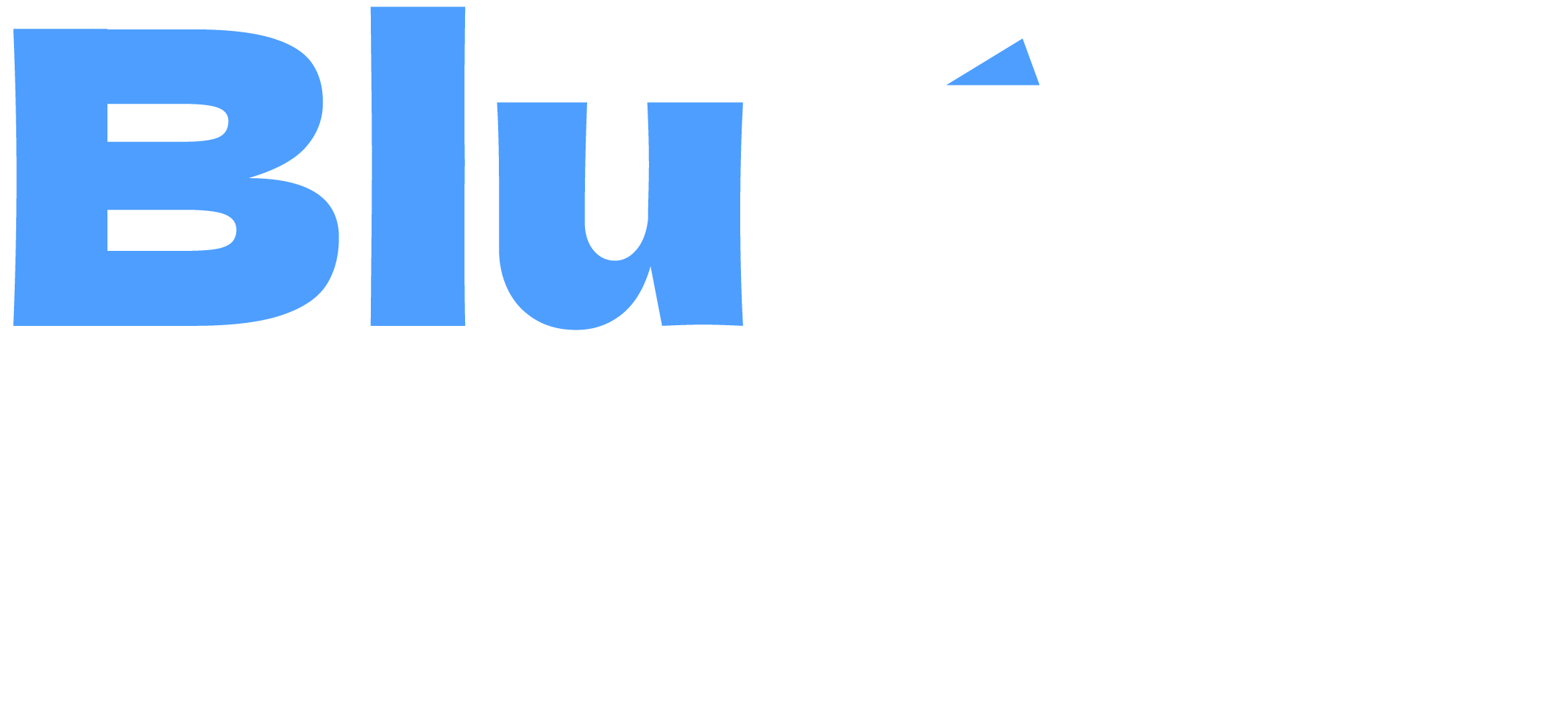 Bluvo Logo